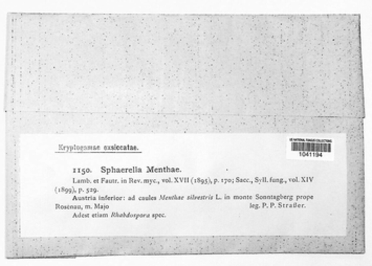 Mycosphaerella menthae image